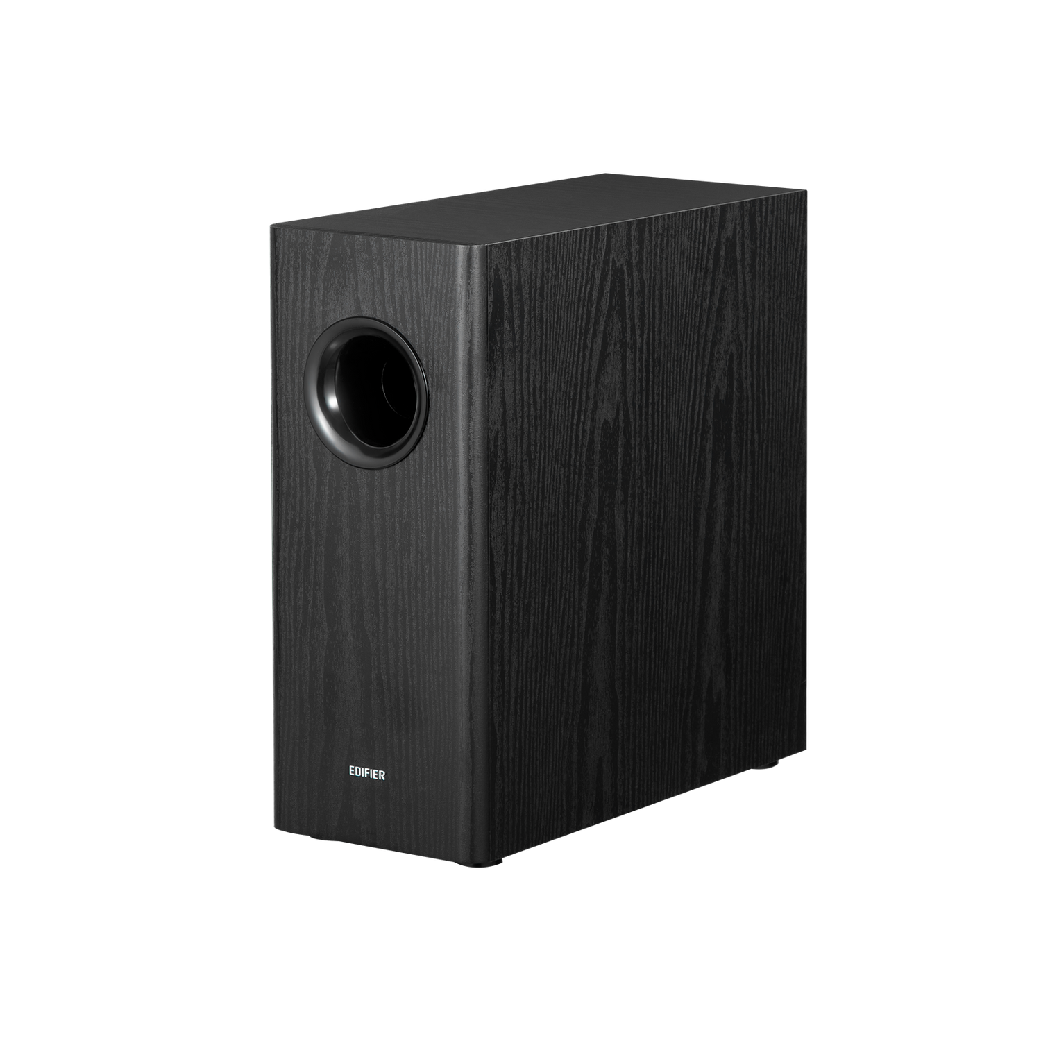 T5s  Powered Subwoofer