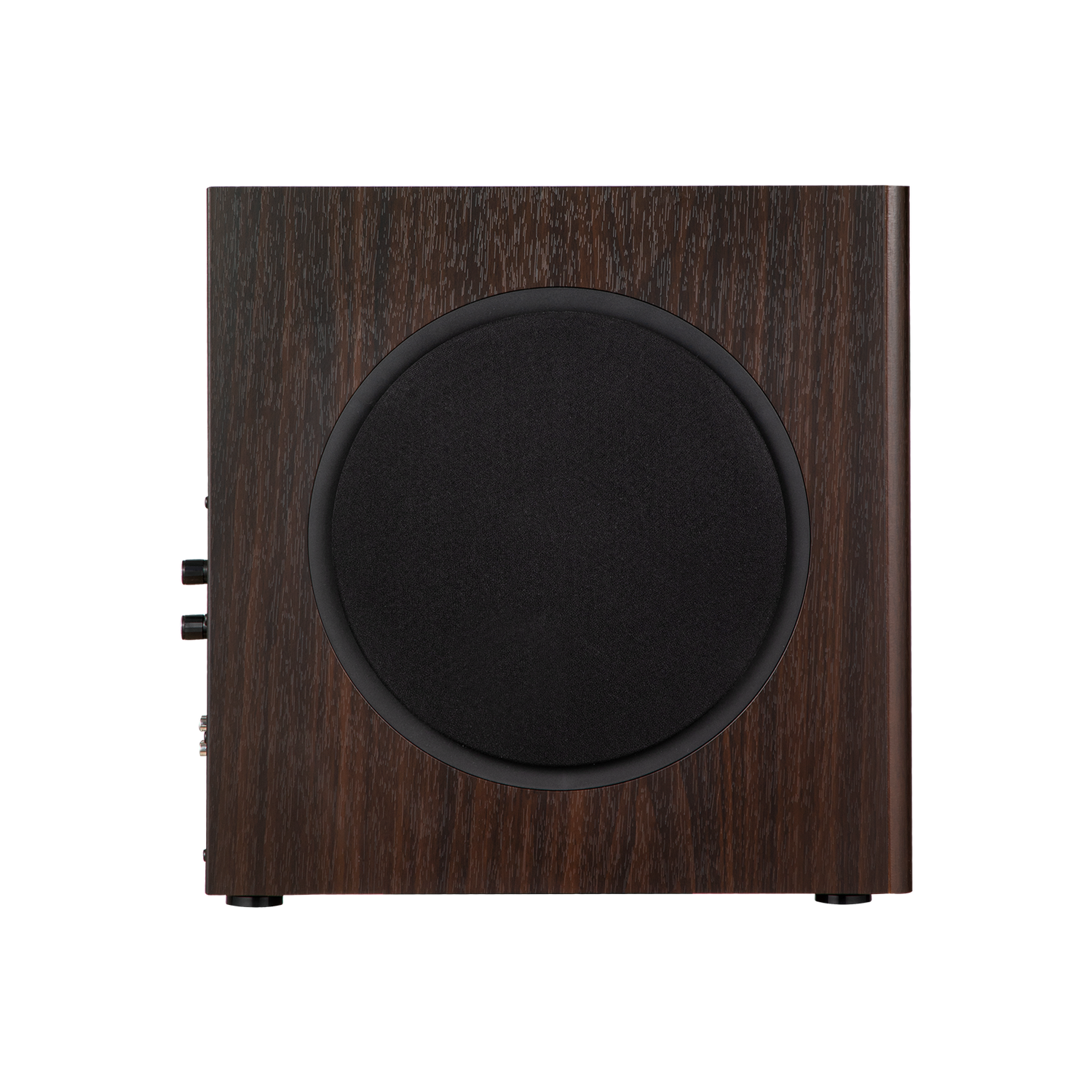 T5s  Powered Subwoofer