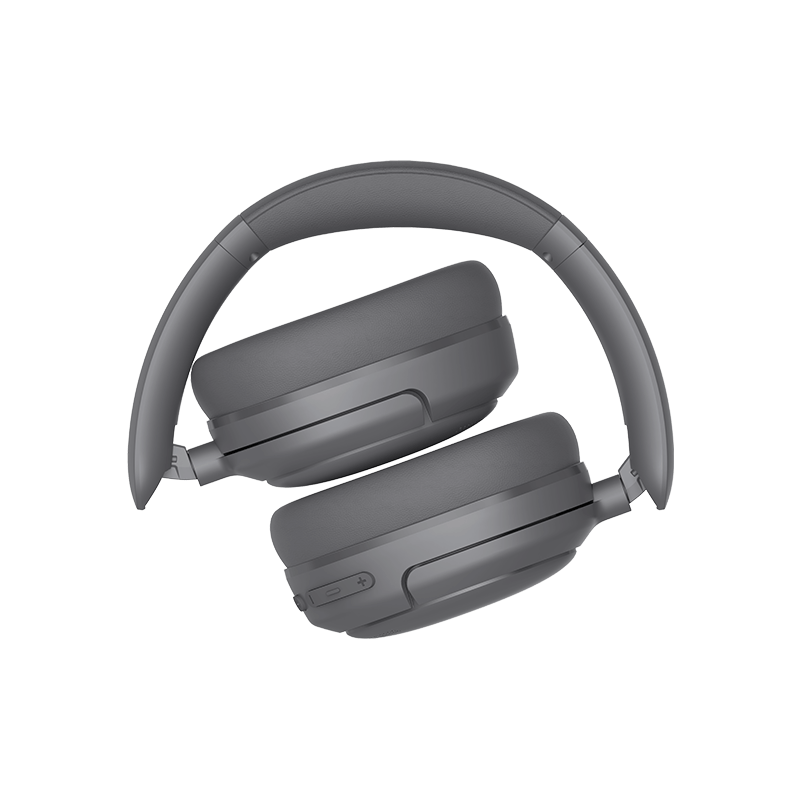 W800BT SE  Wireless Over-Ear Headphones