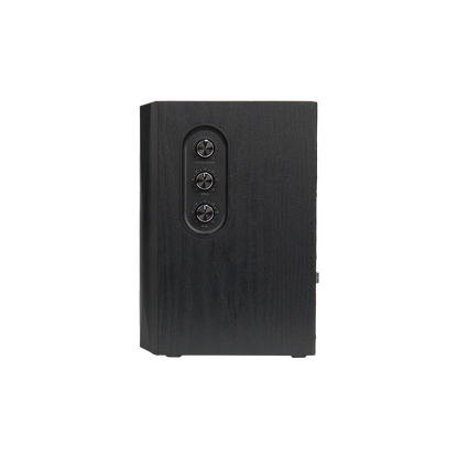 S355DB  2.1 Active Speaker