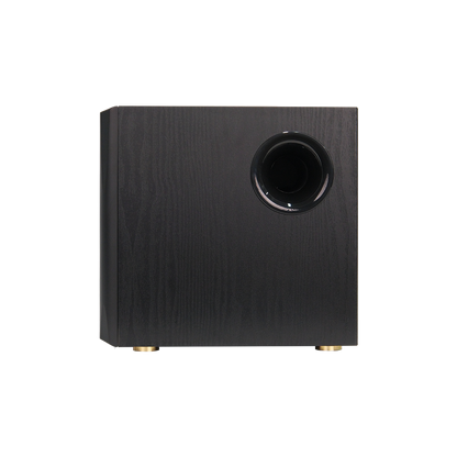 S355DB  2.1 Active Speaker