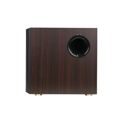 S355DB  2.1 Active Speaker